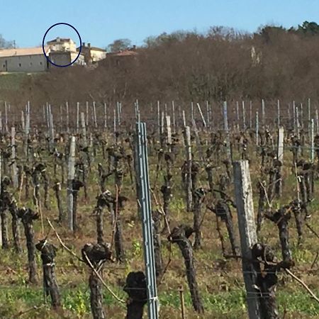 Superbe Gite A La Campagne Dans Le Bordelais Saint-Vivien-de-Blaye Εξωτερικό φωτογραφία